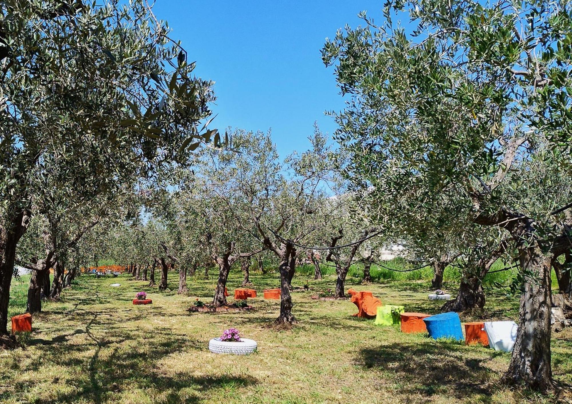 Colline Del Sole Bed & Breakfast San Salvo Exterior photo
